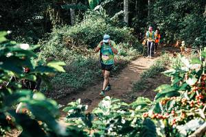 BIB: 
                            <button type="button" onclick="openModal(25853912)" class="btn btn-primary btn-sm float-right btn-popup" data-toggle="modal" data-target=".modal-high-quality">
                        <i class="fas fa-shopping-cart"></i> Add to Cart
                    </button>
                                            <button type="button" onclick="isThisMe(25853912, true)" class="btn btn-success btn-sm float-right btn-popup btn-isme hidden" data-toggle="tooltip" data-placement="bottom" title="นี่คือรูปของคุณใช่ไหม คลิกที่นี่เพื่อเอาเข้าอัลบั้ม">
                        <i class="fas fa-plus"></i> Add to album
                    </button>
                    <button type="button" onclick="isThisMe(25853912, false)" class="btn btn-warning btn-sm float-right btn-popup btn-isnotme hidden">
                        <i class="fas fa-ban"></i> Remove from album
                    </button>